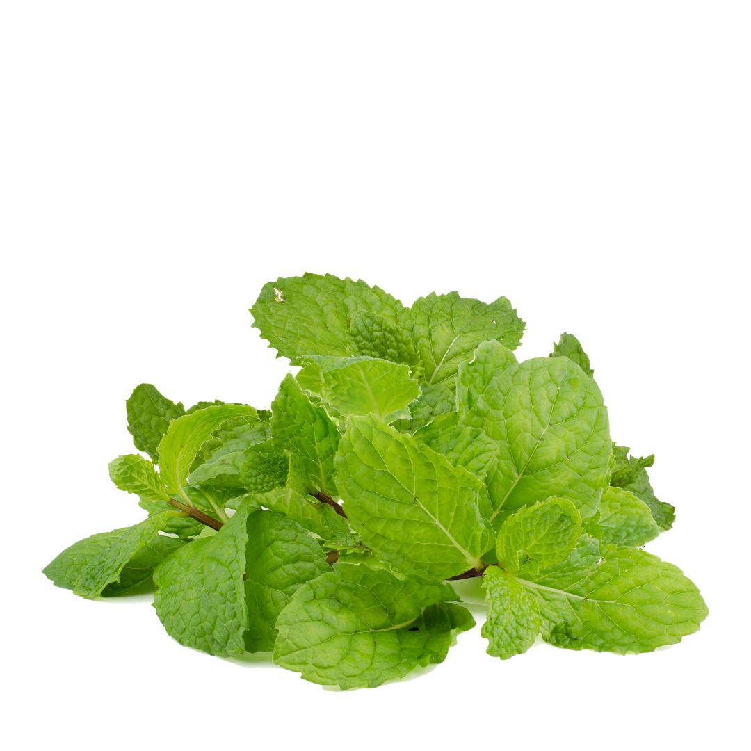 MINT LEAVES (PODINA) 100G
