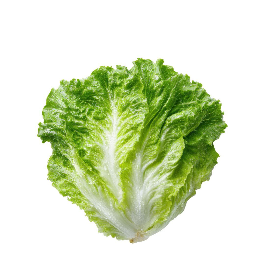 GREEN LETTUCE (SALAD PATTA) 250G